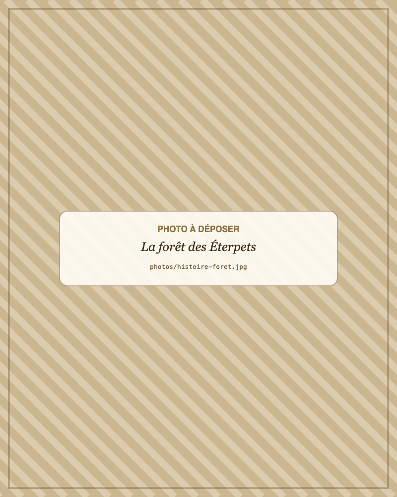 Notre forêt aux Éterpets