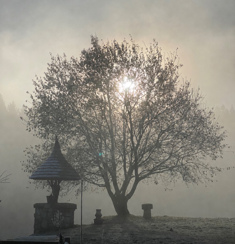 Puits & arbre givré