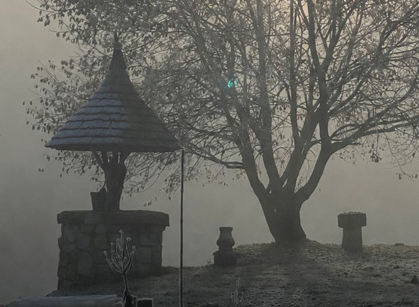 Détail 2 — le puits dans la brume d'automne