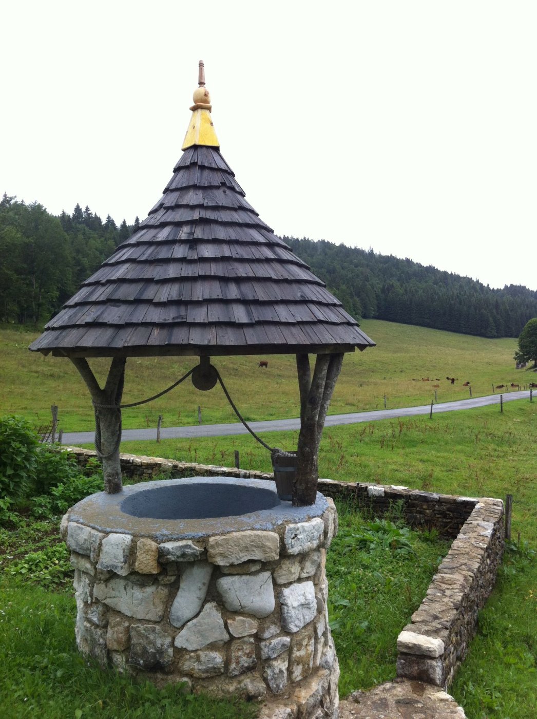 Puits couvert en tavaillons, margelle en pierre