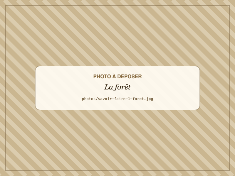 La forêt