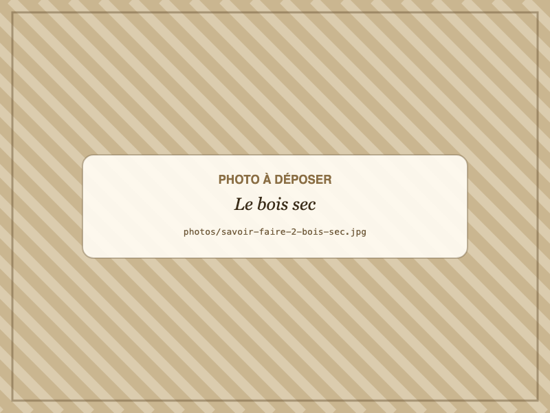 Le bois sec